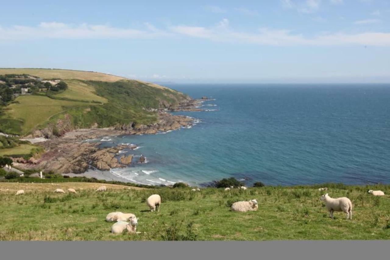 Polmear Harbour View With Terrace Daire Looe Dış mekan fotoğraf